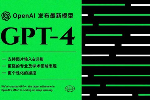 如何打造高绩效的团队？