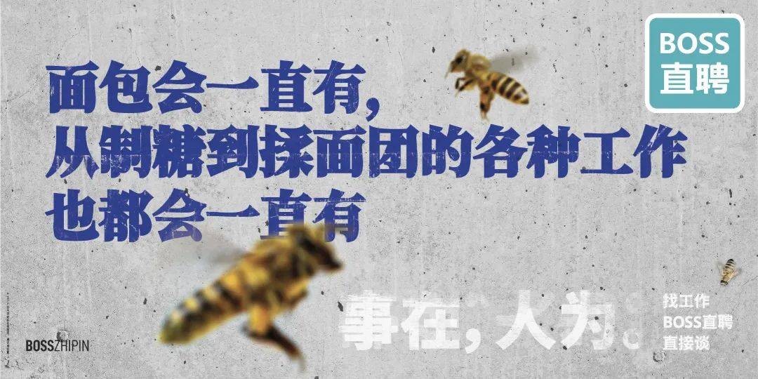 不洗脑的Boss直聘,广告开始走心了?